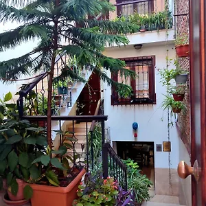 Sphendone Provincia di Istanbul